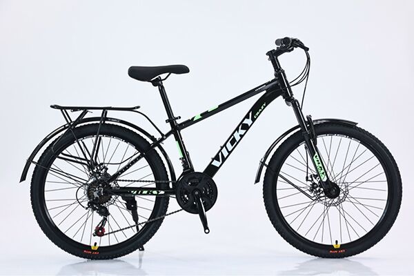 Xe đạp địa hình thể thao Vicky Crazy VC2200